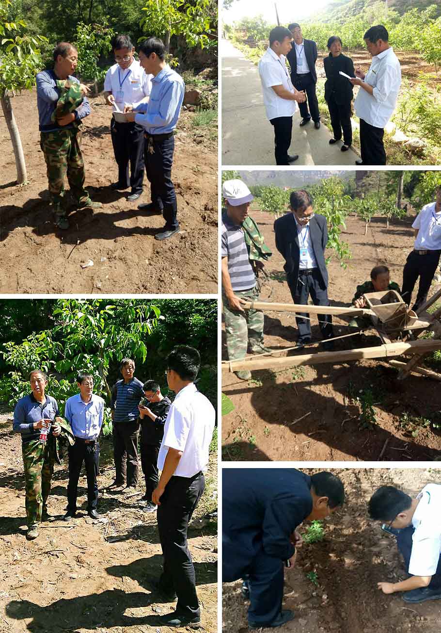 1-1.jpg