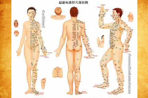 经络调治疾病 中医经络调治 中医药文化