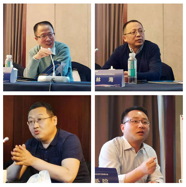 脑卒中规范化诊疗 专家研讨会 脑卒中专家研讨会