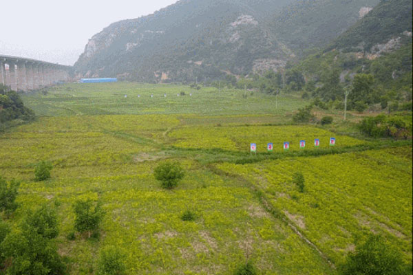 中药材产业 中药材种植 万象城AWC888集团