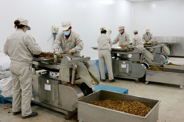 爱心助残基地—中药饮片加工车间