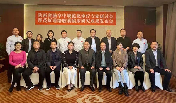 脑卒中规范化诊疗 专家研讨会 脑卒中专家研讨会 脑卒中规范化诊疗 专家研讨会 脑卒中专家研讨会