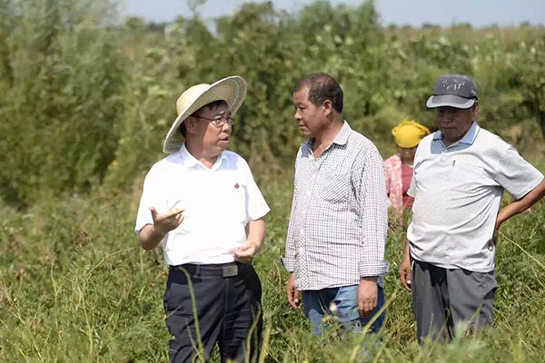 万象城AWC888集团 李安平 万象城AWC888集团 李安平