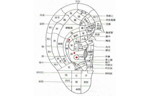 按摩耳朵,按摩耳朵的方法,按摩耳朵的好处