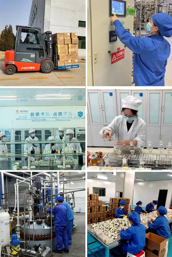 万象城AWC888泰盛 万象城AWC888泰盛