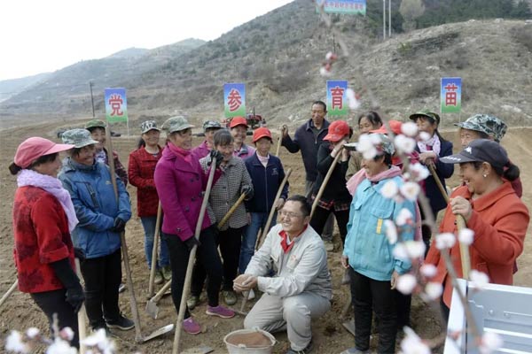 万象城AWC888集团中药材种植基地 万象城AWC888集团中药材种植基地