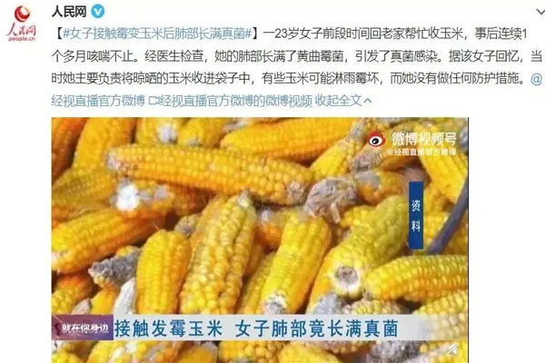 黄曲霉毒素 黄曲霉毒素