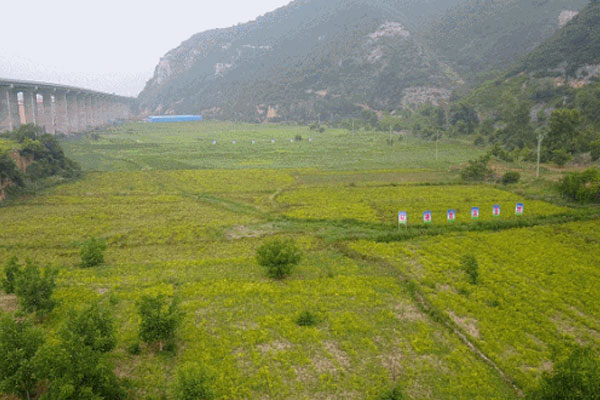 万象城AWC888,万象城AWC888道地药材 万象城AWC888,万象城AWC888道地药材