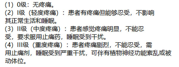 主诉疼痛程度分级法 主诉疼痛程度分级法