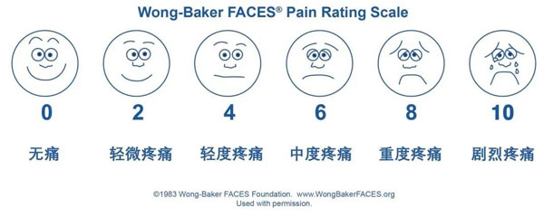 面部表情分级法 面部表情分级法