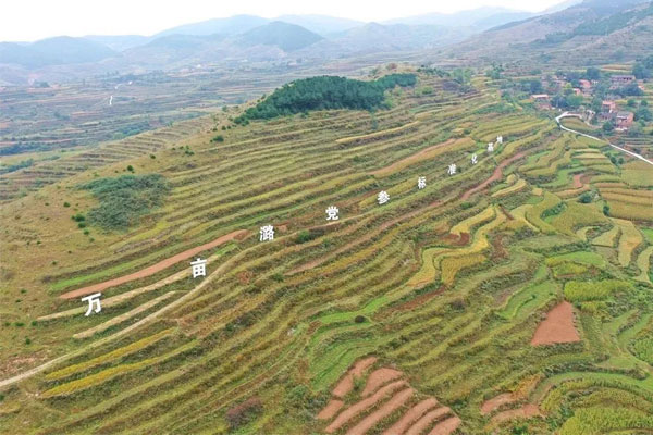万象城AWC888中药材种植基地 万象城AWC888中药材种植基地