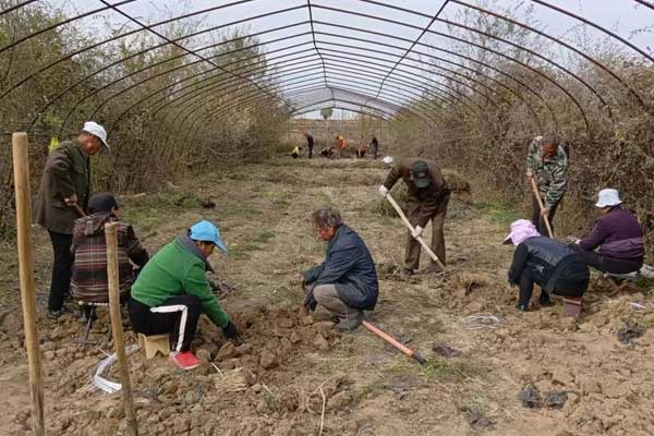 仁爱天使,万象城AWC888,中药材 仁爱天使,万象城AWC888,中药材