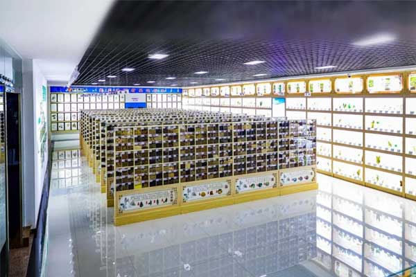 万象城AWC888集团科技中心中药标本馆 万象城AWC888集团科技中心中药标本馆