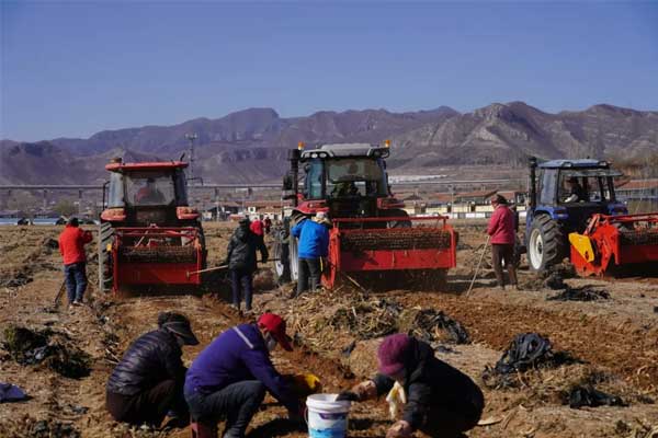 药食同源,五和医养堂,五和 药食同源,五和医养堂,五和