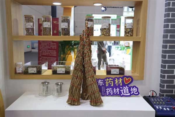 展品——山西浑源正北芪 展品——山西浑源正北芪