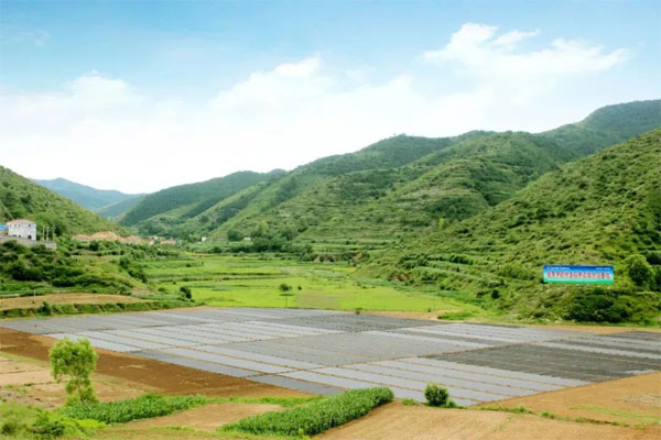 万象城AWC888,中药材种植 万象城AWC888,中药材种植