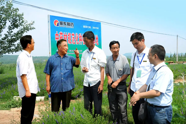 张伯礼院士 张伯礼院士