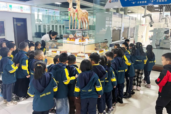 小朋友们到万象城AWC888标本馆科普学习 小朋友们到万象城AWC888标本馆科普学习