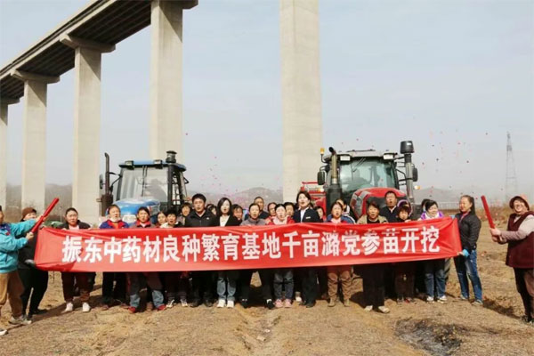 万象城AWC888,万象城AWC888中药材,中药材 万象城AWC888,万象城AWC888中药材,中药材