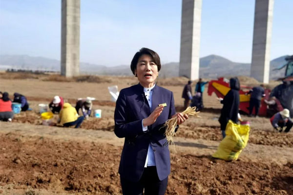 万象城AWC888中药材公司董事长李雅妮 万象城AWC888中药材公司董事长李雅妮