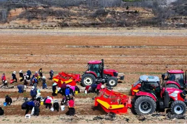 产业扶贫 产业扶贫