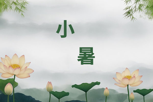 小暑养生,三宝,海蜇蔬菜卷,苦夏,清热祛湿 小暑养生,三宝,海蜇蔬菜卷,苦夏,清热祛湿