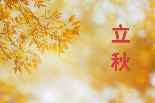 立秋养生,秋养肺,贴秋膘,雪梨百合饮,秋季饮食 立秋养生,秋养肺,贴秋膘,雪梨百合饮,秋季饮食